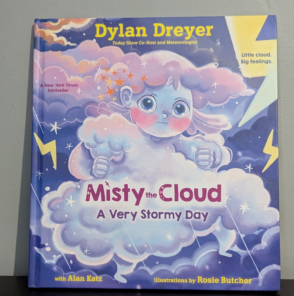 4/$10 📚 Misty the Cloud: A Very Stormy Day By Alan Katz
